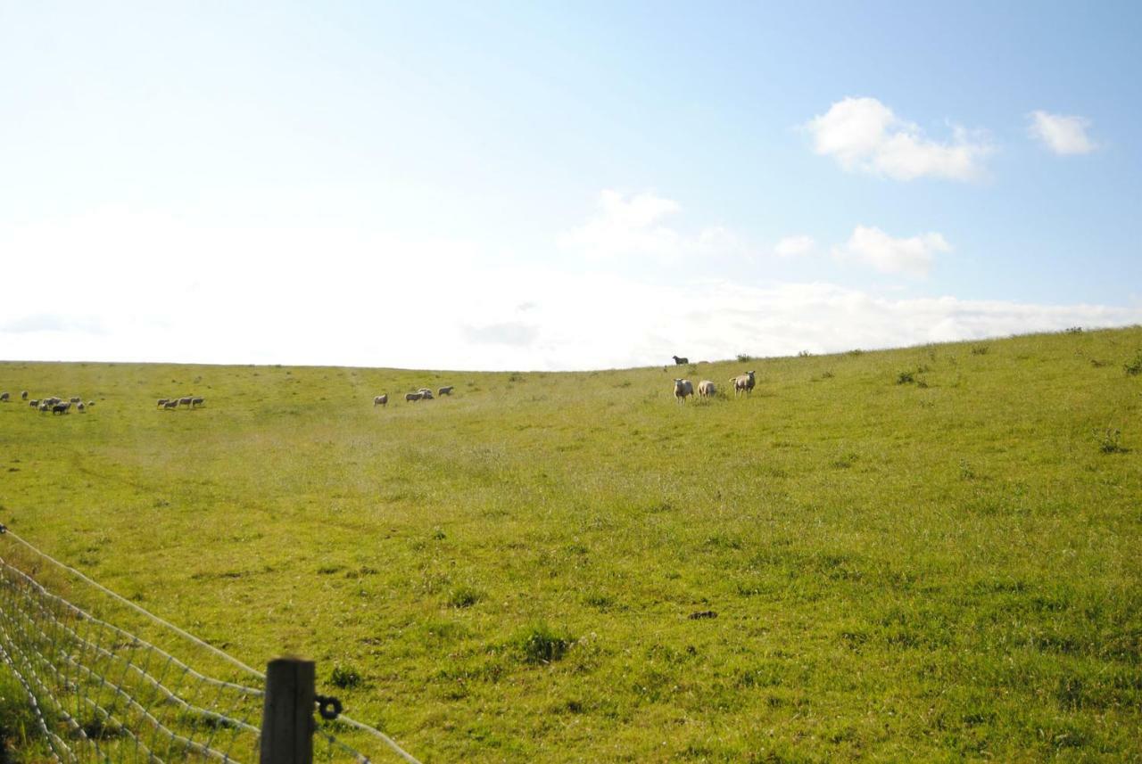Annemaries Nordseehaus Butjadingen Exteriér fotografie