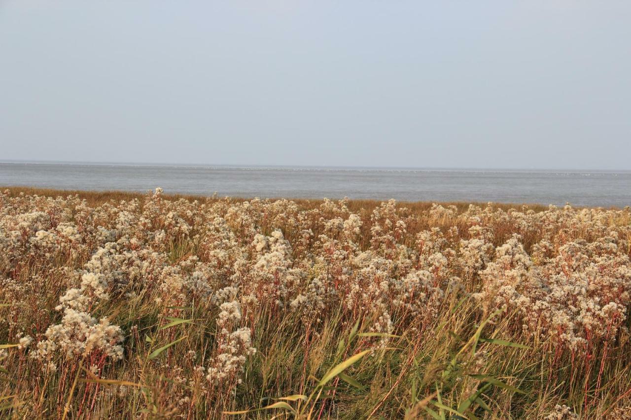 Annemaries Nordseehaus Butjadingen Exteriér fotografie